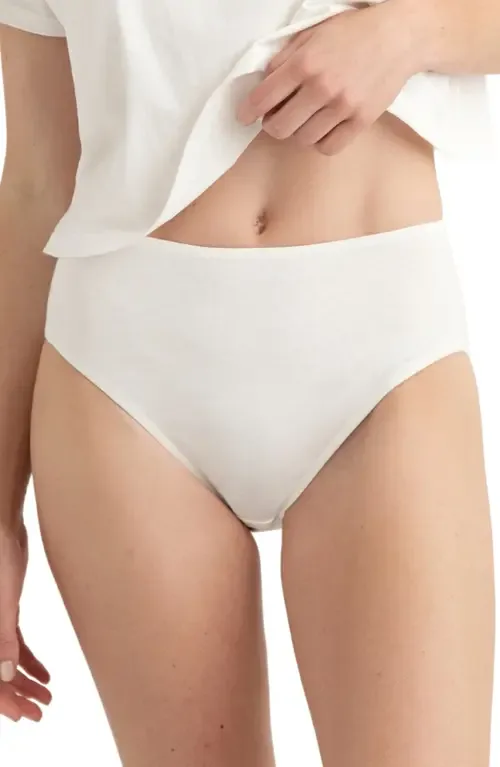 2-Pack Compostable Organic Cotton High Waist Briefs by KENT