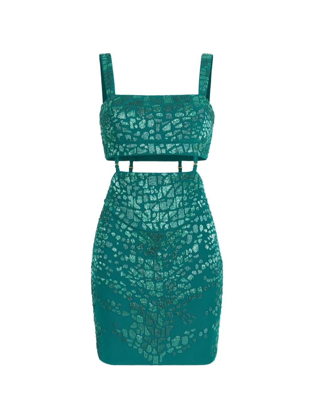 Leopard Embellished Mini Dress by Roberto Cavalli