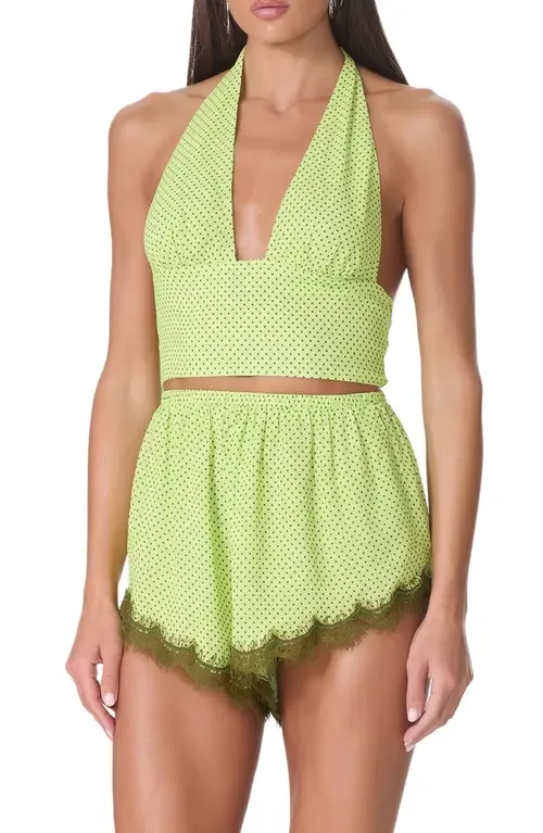 Sylas Plunge Halter Neck Crop Top by AFRM