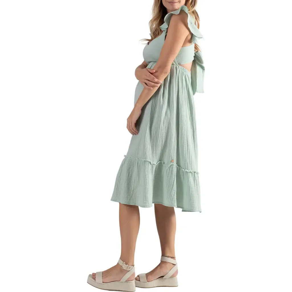 Melody Maternity and Nursing Dress by Cache Coeur