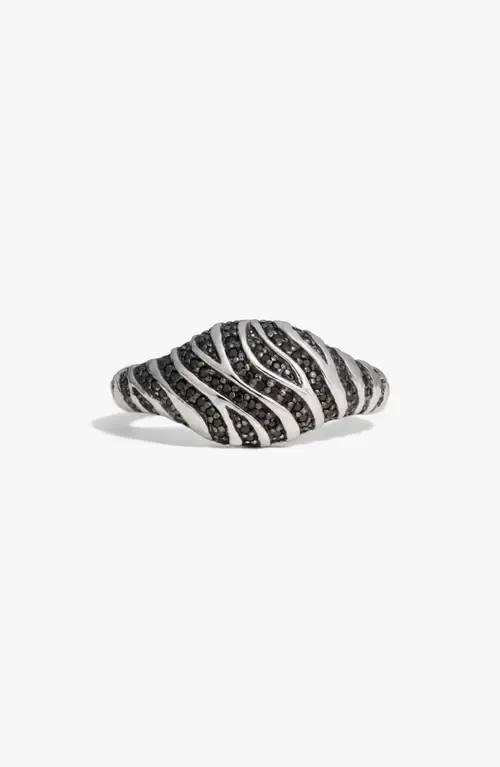 Primal Panthera Signet Ring in 925 Sterling Silver by Awe Inspired