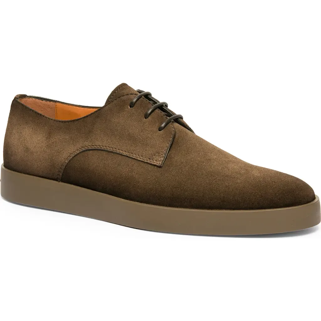Dilate Suede Sneaker Derby by Santoni