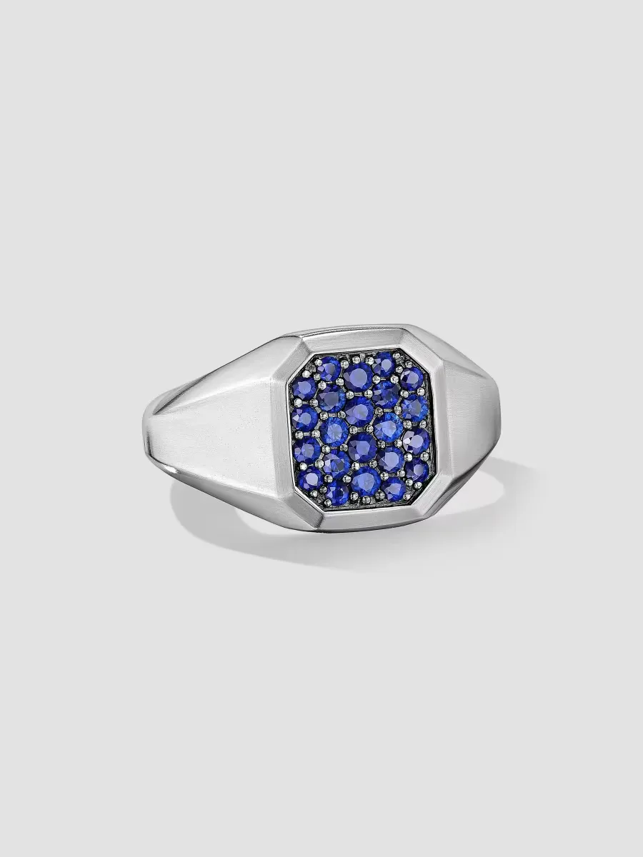 Streamline Signet Ring in Sterling Silver - Meteorite