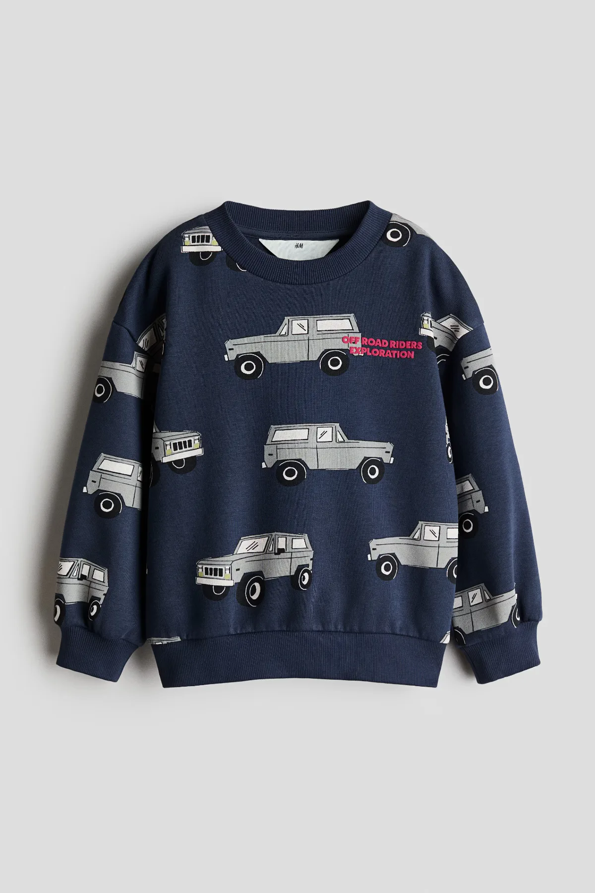 Printed Sweatshirt by H&M