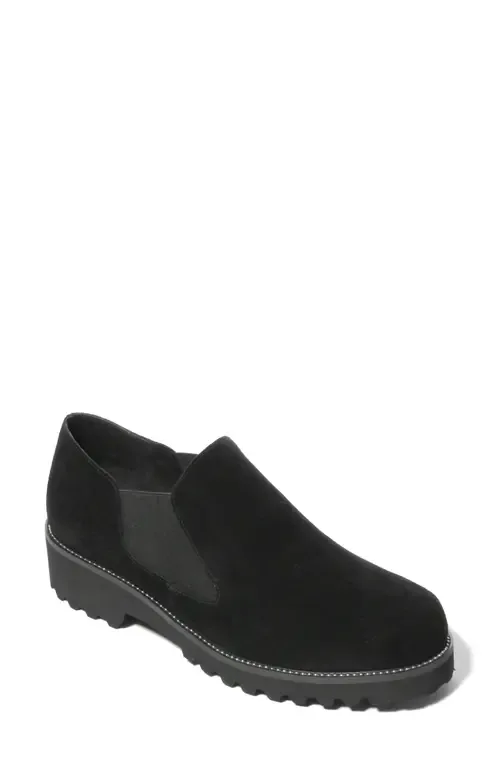 Zivana Weatherproof Oxford in Black Suede by VANELi