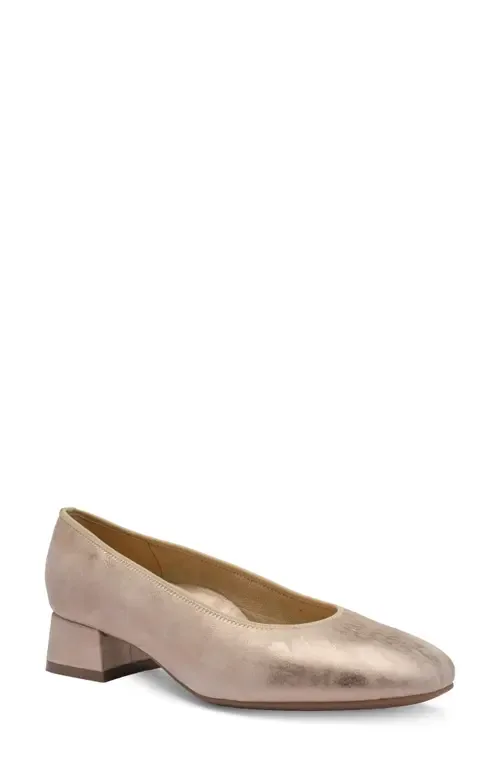 Gypsum Block Heel Pump