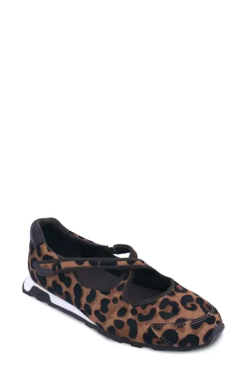 Kore Mary Jane Genuine Calf Hair Flat in Leopard by Ash