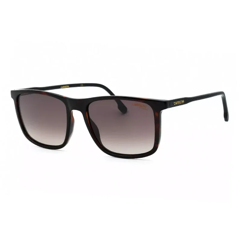 231/S 0086 HA Havana/Brown Gradient by Carrera
