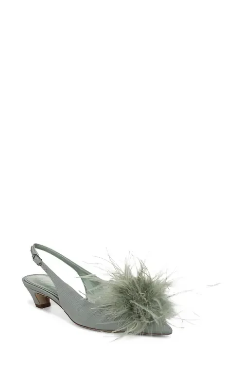 Finchfeather Slingback Pointed Toe Pump