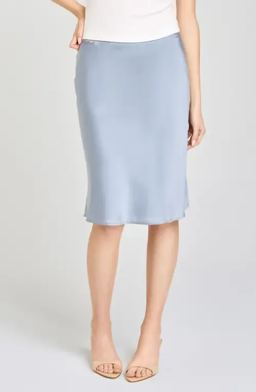 Felicity Satin Slip Skirt by WAYF