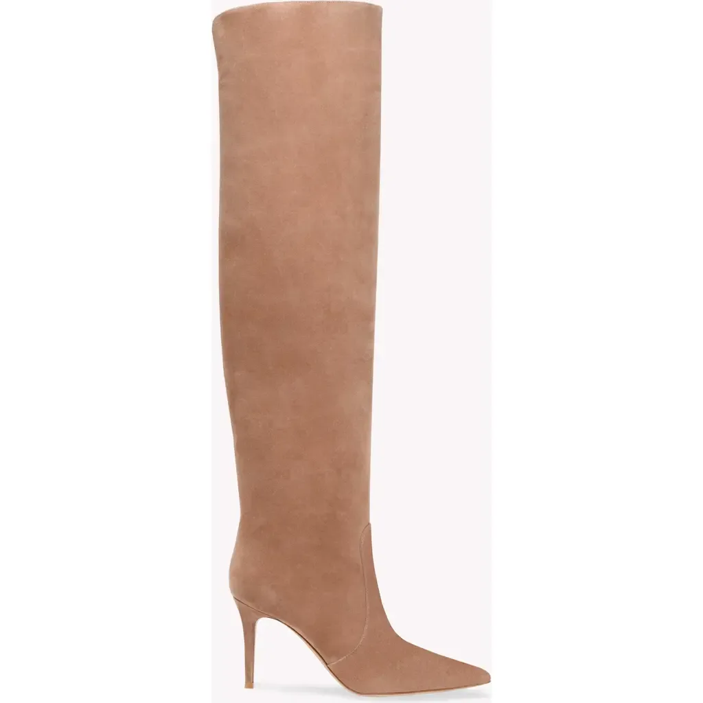 Hansen Cuissard Boot in Pink Suede by Gianvito Rossi