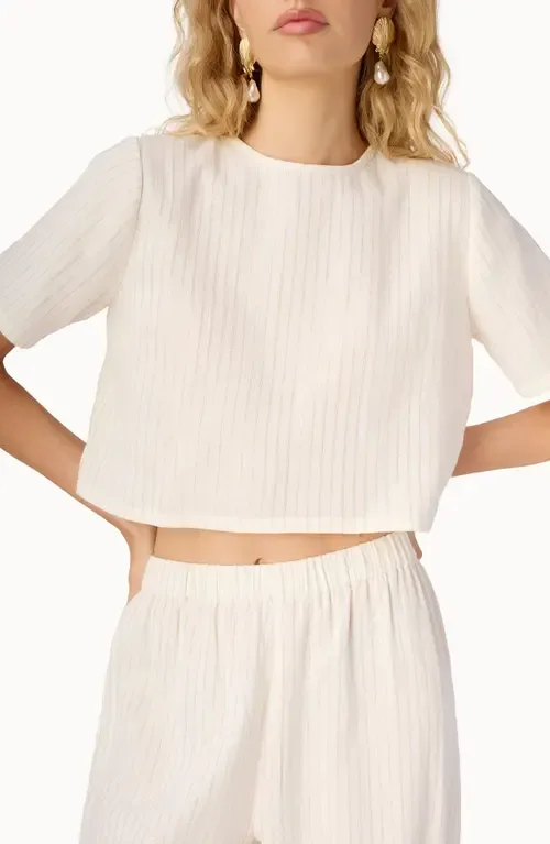 Mica Metallic Stripe Crop Top - Ceramic by CAMI NYC