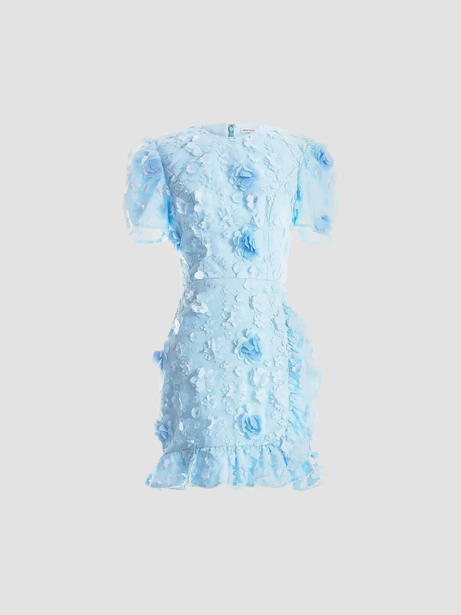 Brittany Floral Applique Minidress