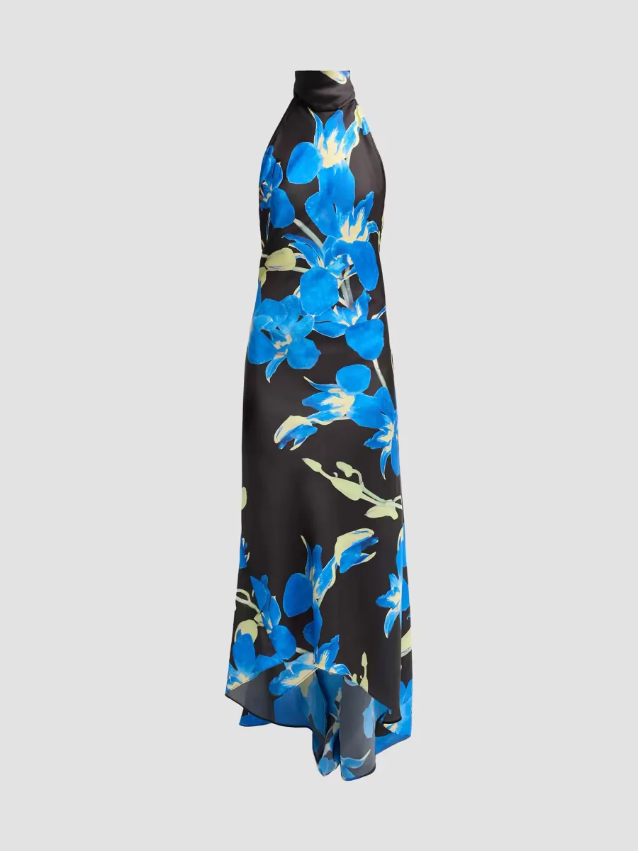 Fiore Floral Halter Maxi Dress by Misa