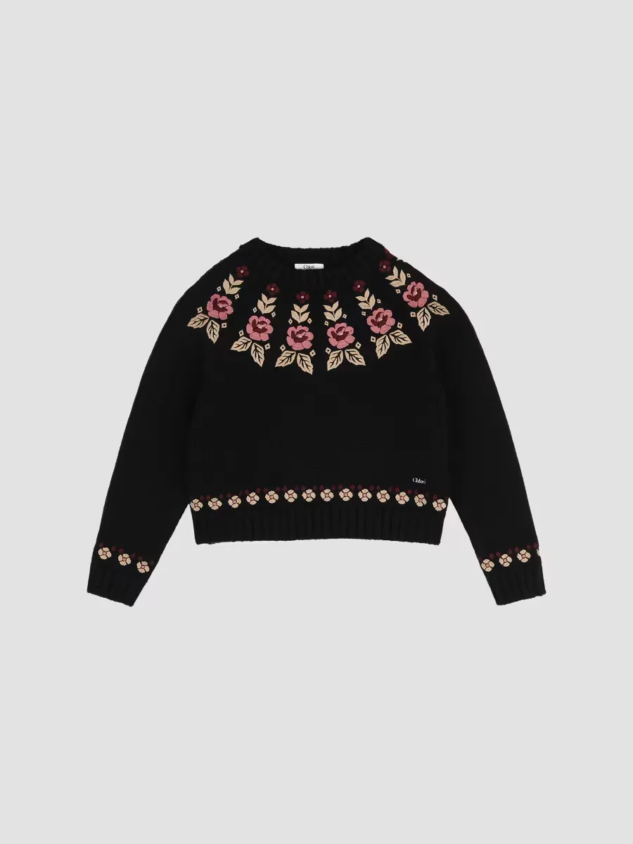 Floral Embroidered Sweater by Chloé