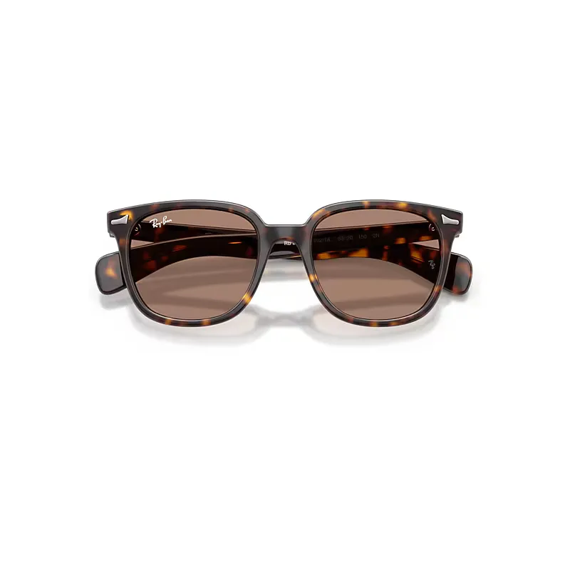 Brunel II Sunglasses Havana Frame Violet Lenses 53-20