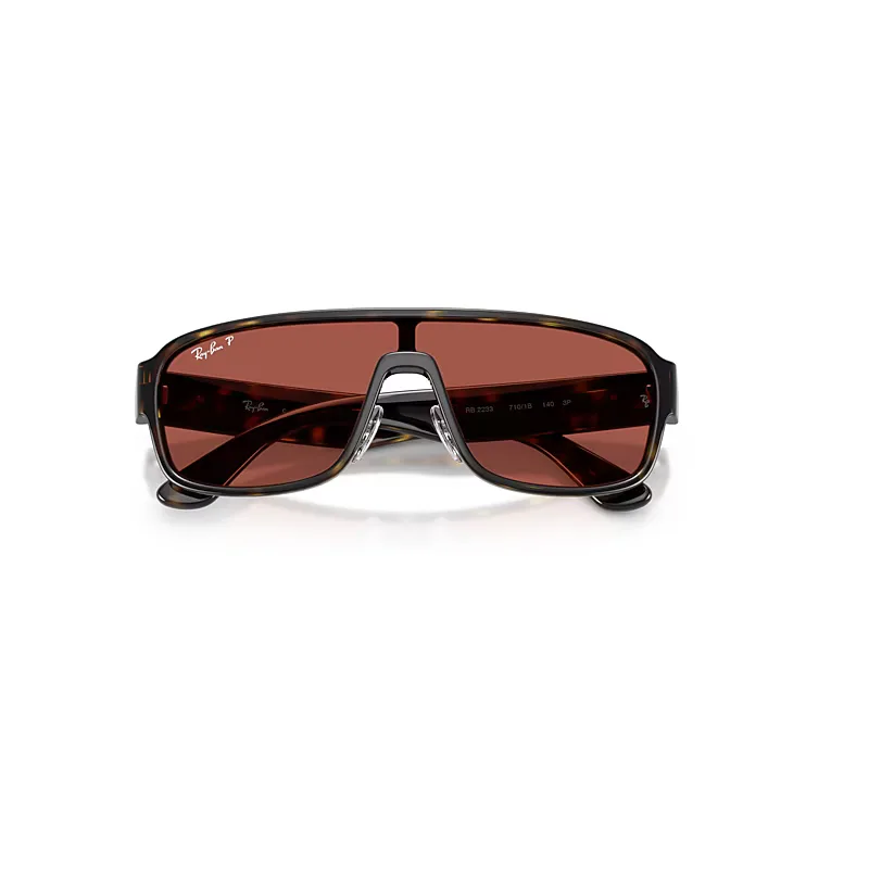 Rb2233 Polarized S Lenses Sunglasses Havana Frame Red Lenses Polarized 01-29 by Ray-Ban