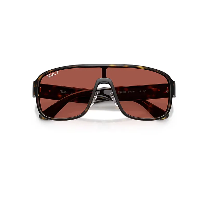 Rb2229 Polarized S Lenses Sunglasses Havana Frame Red Lenses Polarized 01-29
