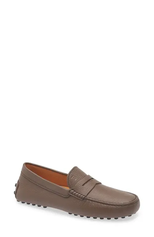 Gommino Penny Loafer by Tod's