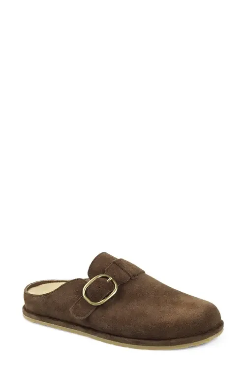 Buckle Strap Clog in Taupe Suede by National Comfort