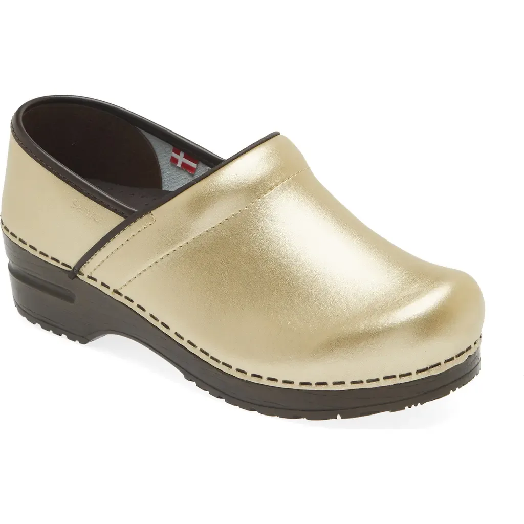 Professional Clog by Sanita
