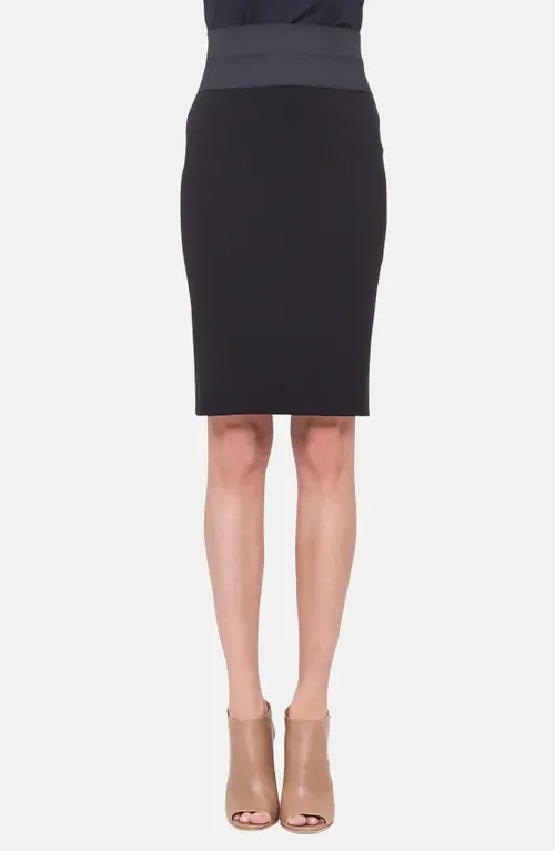 Pencil Skirt by Akris punto