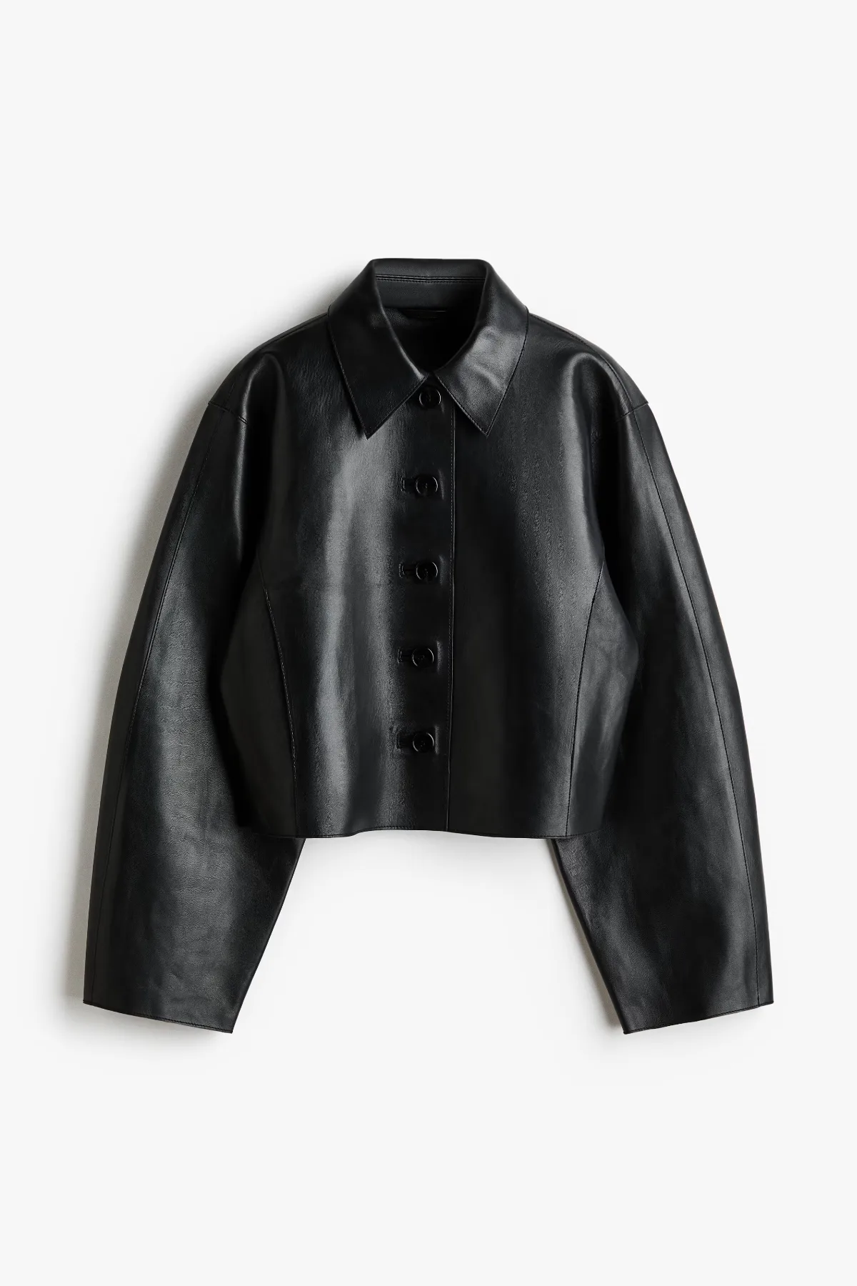 Leather Jacket with Collar