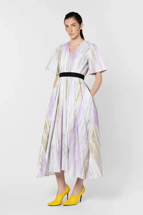 Sana Printed V-Neck Midi Dress by Roksanda