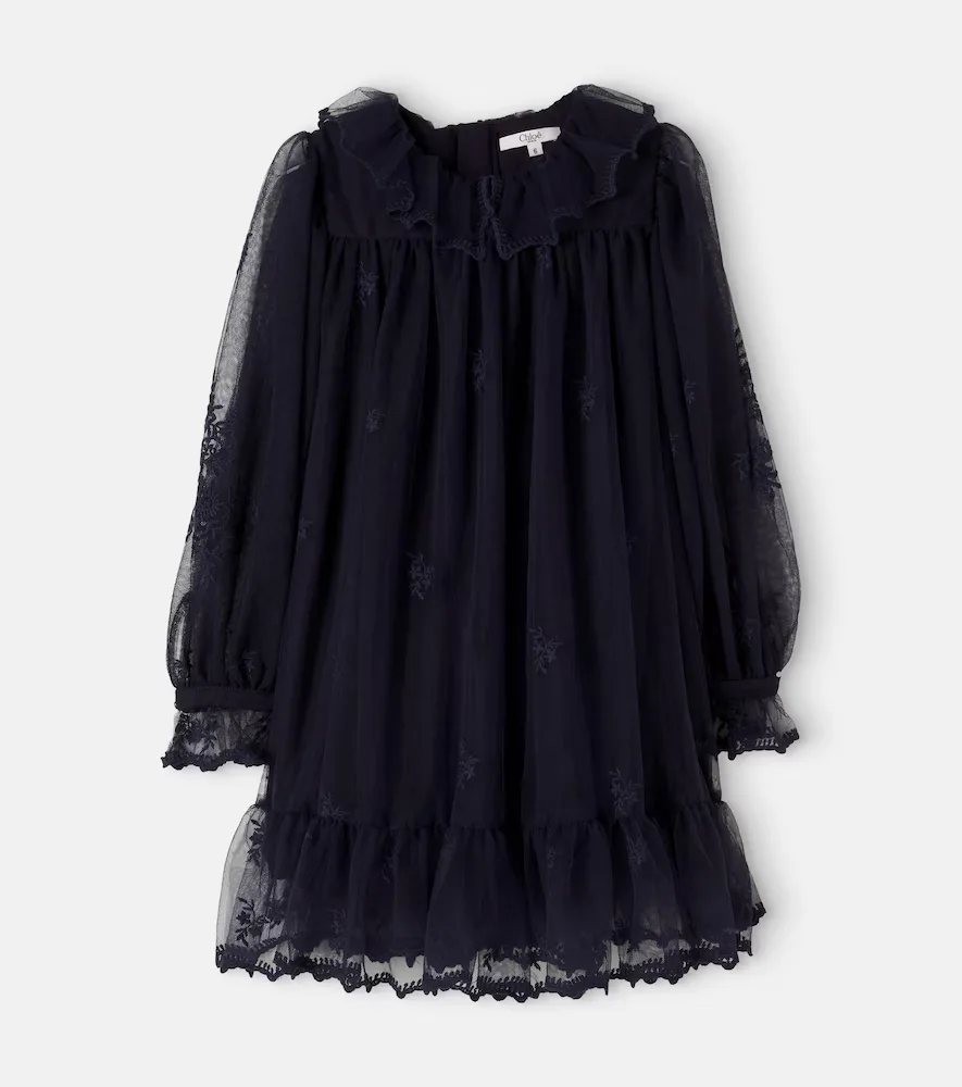 Embroidered Tulle Dress by Chloé