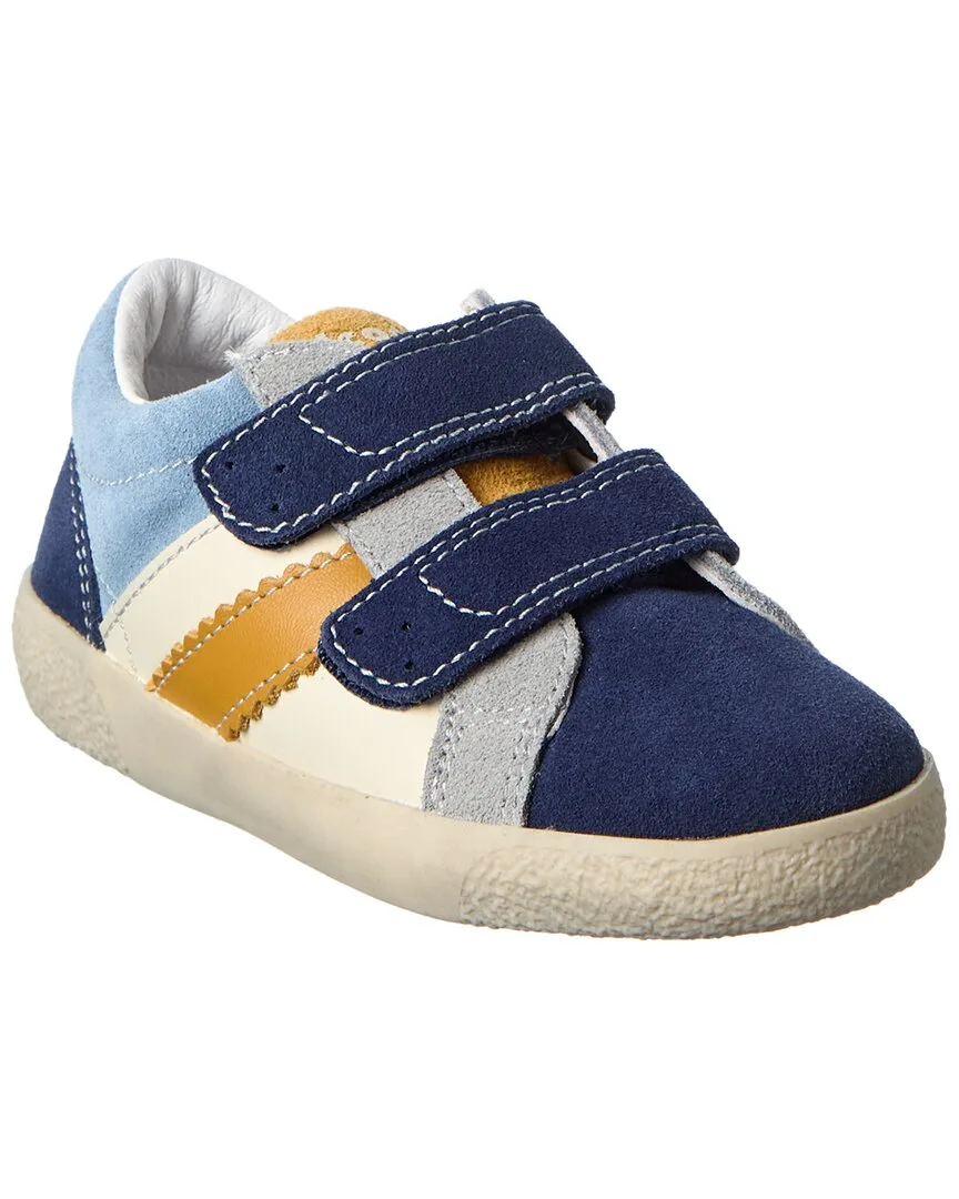 Falcotto Kilde Suede Sneaker by Naturino