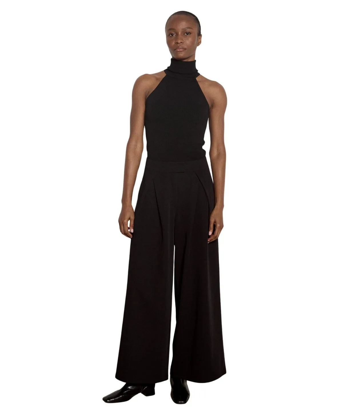 Wide-Leg Pleated High-Rise Trousers by Apricot