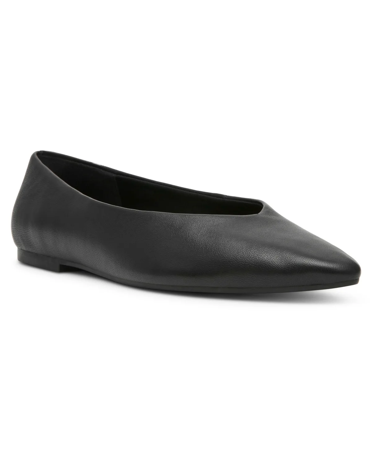 Dakota Pointed Toe Ballet Flats by Anne Klein