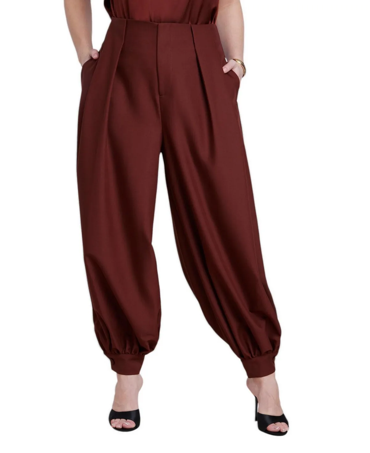 Balloon Trouser with Pleats by Eloquii