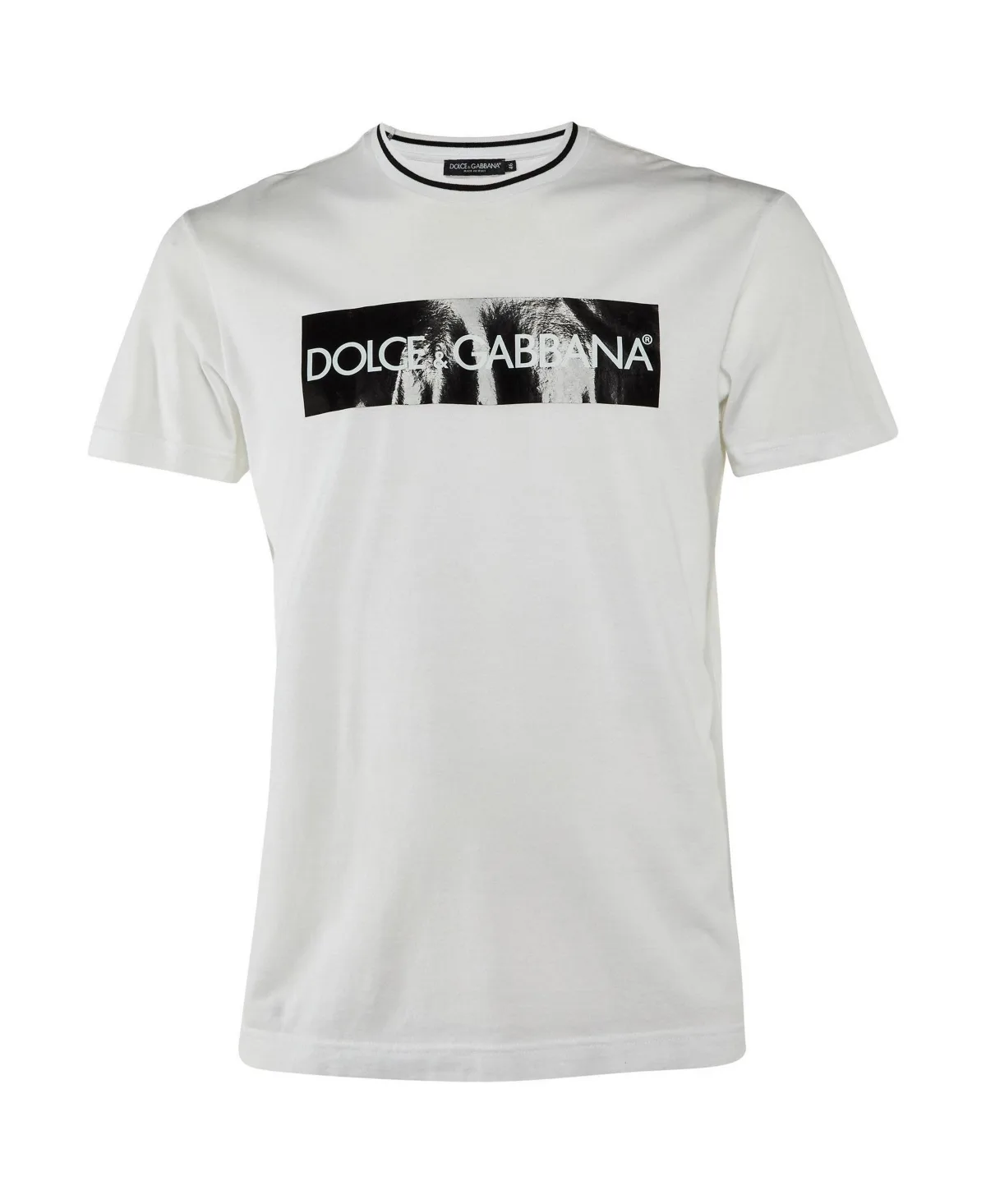 Pre-Owned Dolce & Gabbana Logo Graphic Cotton T-Shirt by Dolce & Gabbana