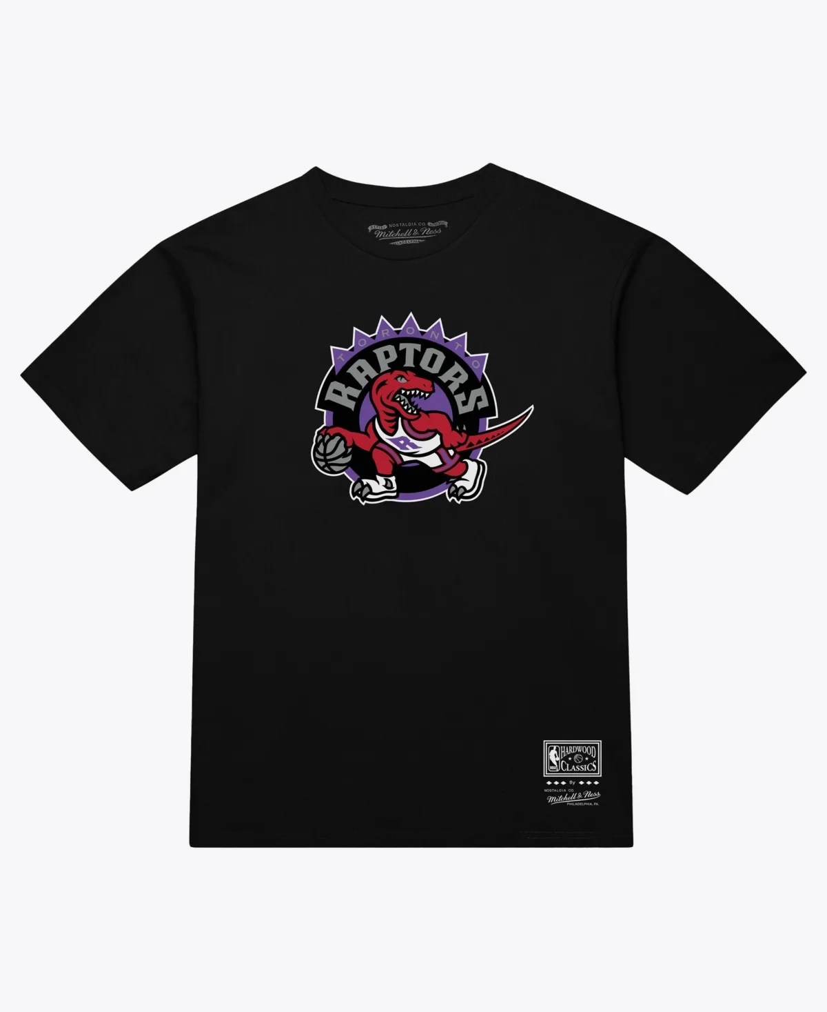 Toronto Raptors Hardwood Classics Arch T-Shirt by Mitchell & Ness