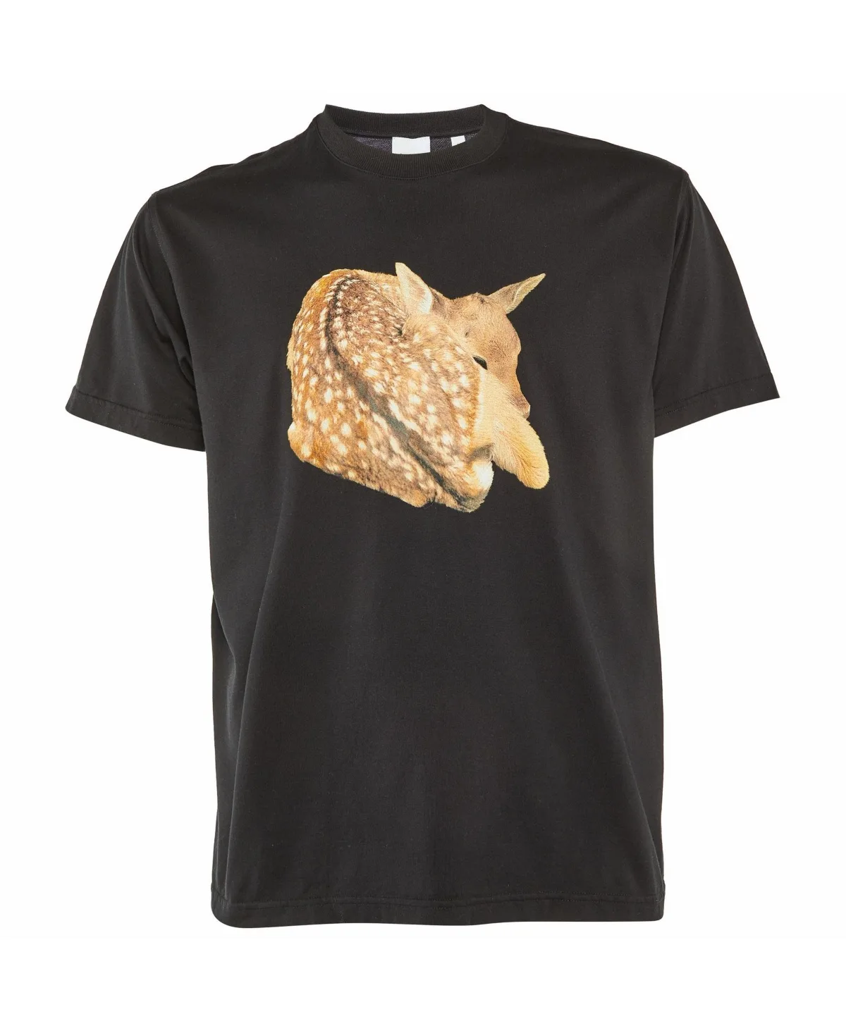 Pre-Owned Burberry Graphic Print Cotton T-Shirt by Burberry