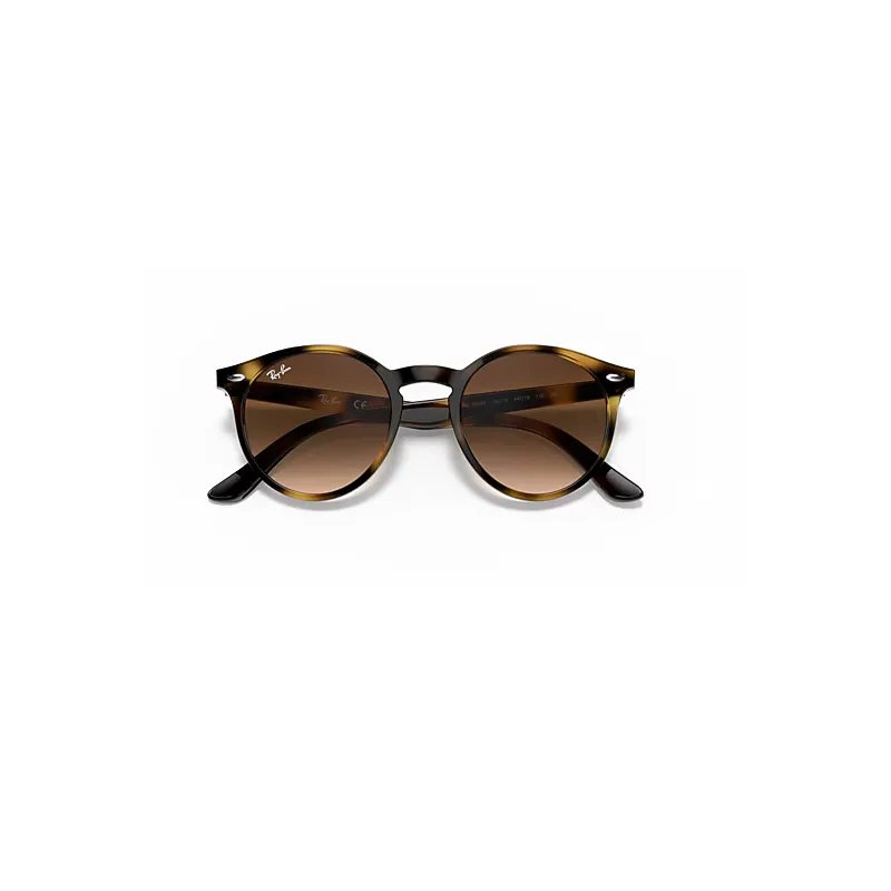 Rb9064s Sunglasses Havana Frame Brown Lenses by Ray-Ban