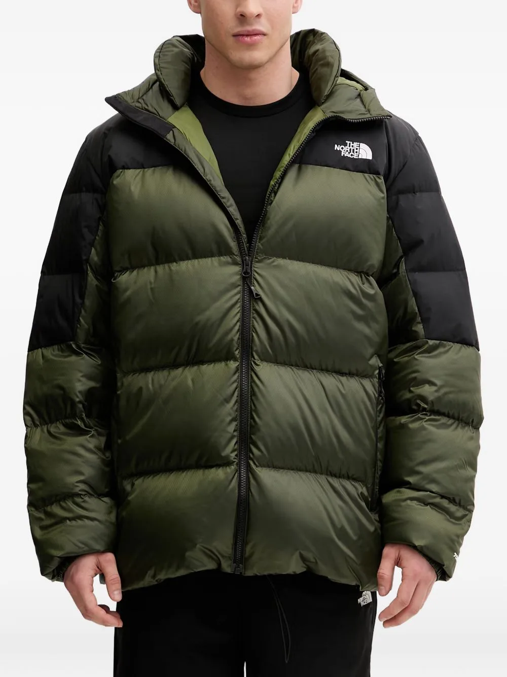 Diablo Down 2.0 Hooded Jacket by The North Face