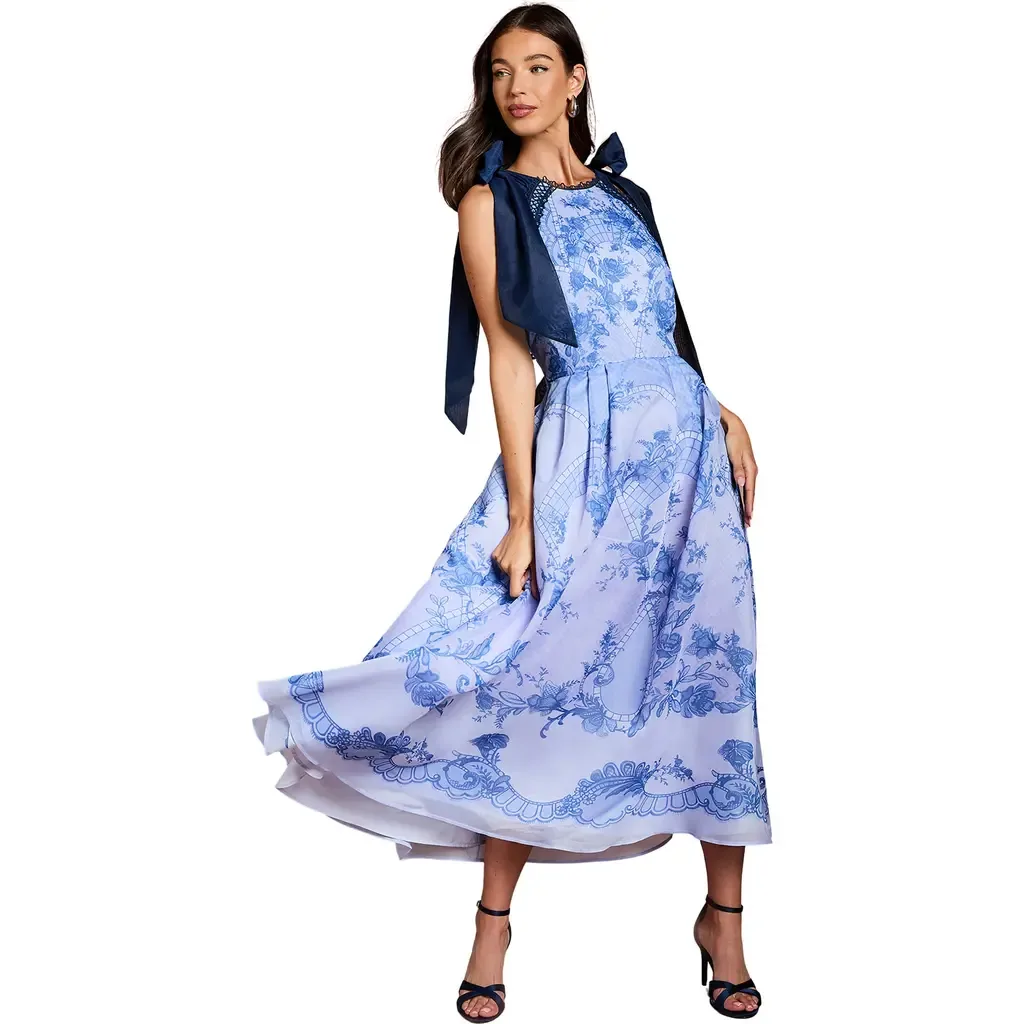Placement Print Organza Midi Dress by Coast