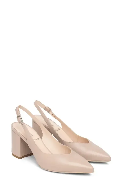 Pointed Toe Slingback Pump by NeroGiardini