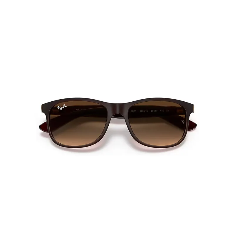 Andy Sunglasses Brown Frame Brown Lenses by Ray-Ban