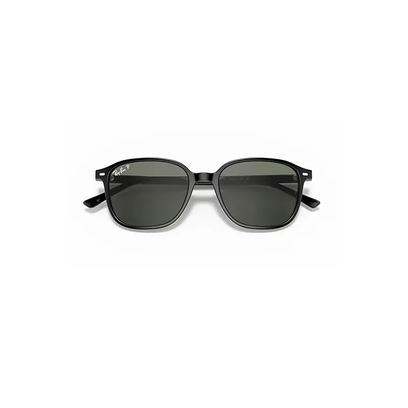 Leonard Sunglasses Black Frame Green Lenses Polarized