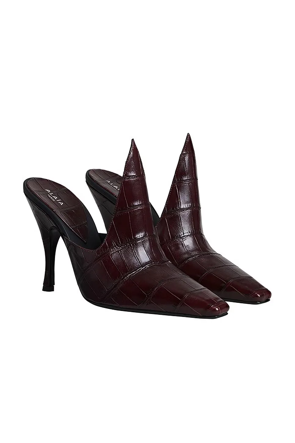 Court Mule by Alaa