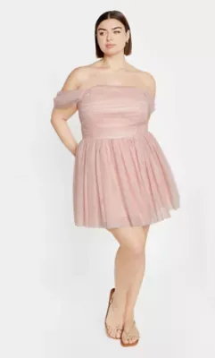 Lulu Tulle Mini Dress by City Chic