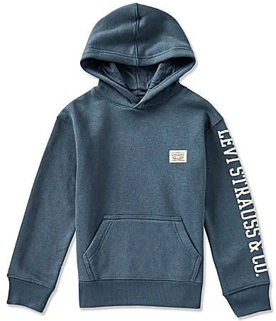 Long Sleeve Hit Pullover Hoodie by Levi's