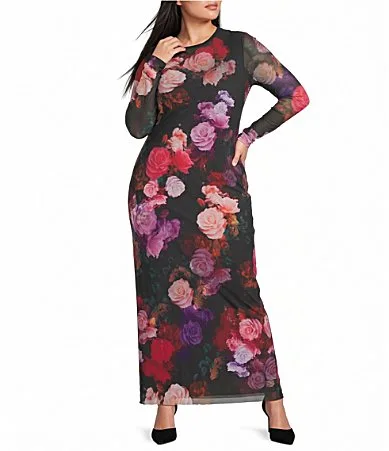 Didi Rose Printed Crew Neck Long Sleeve Mesh Maxi Dress by Afrm