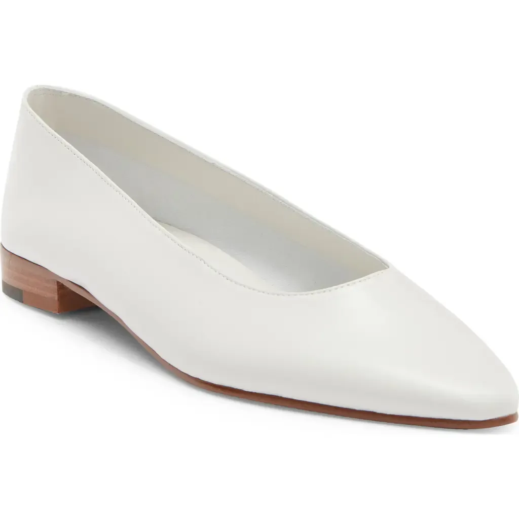 Vespa Pointed Toe Flat by Jeffrey Campbell