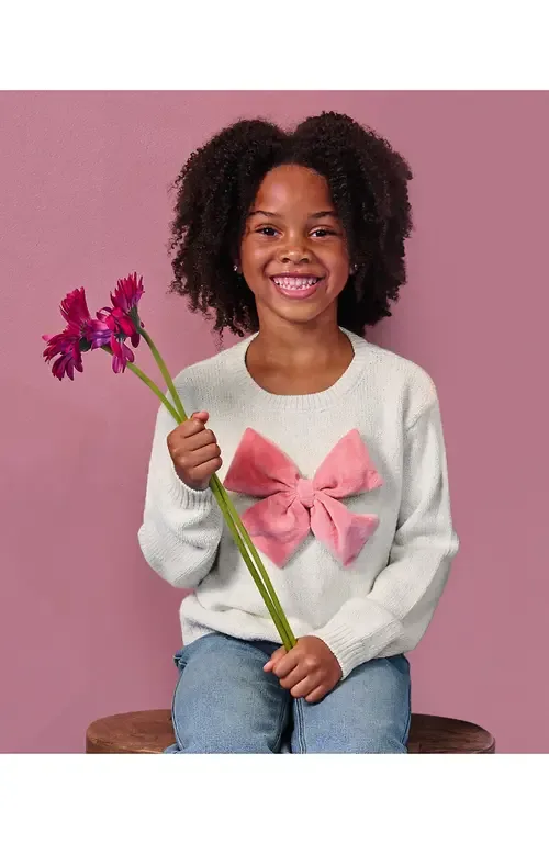 Meet and Greet Bow Knit Sweater by Lands' End