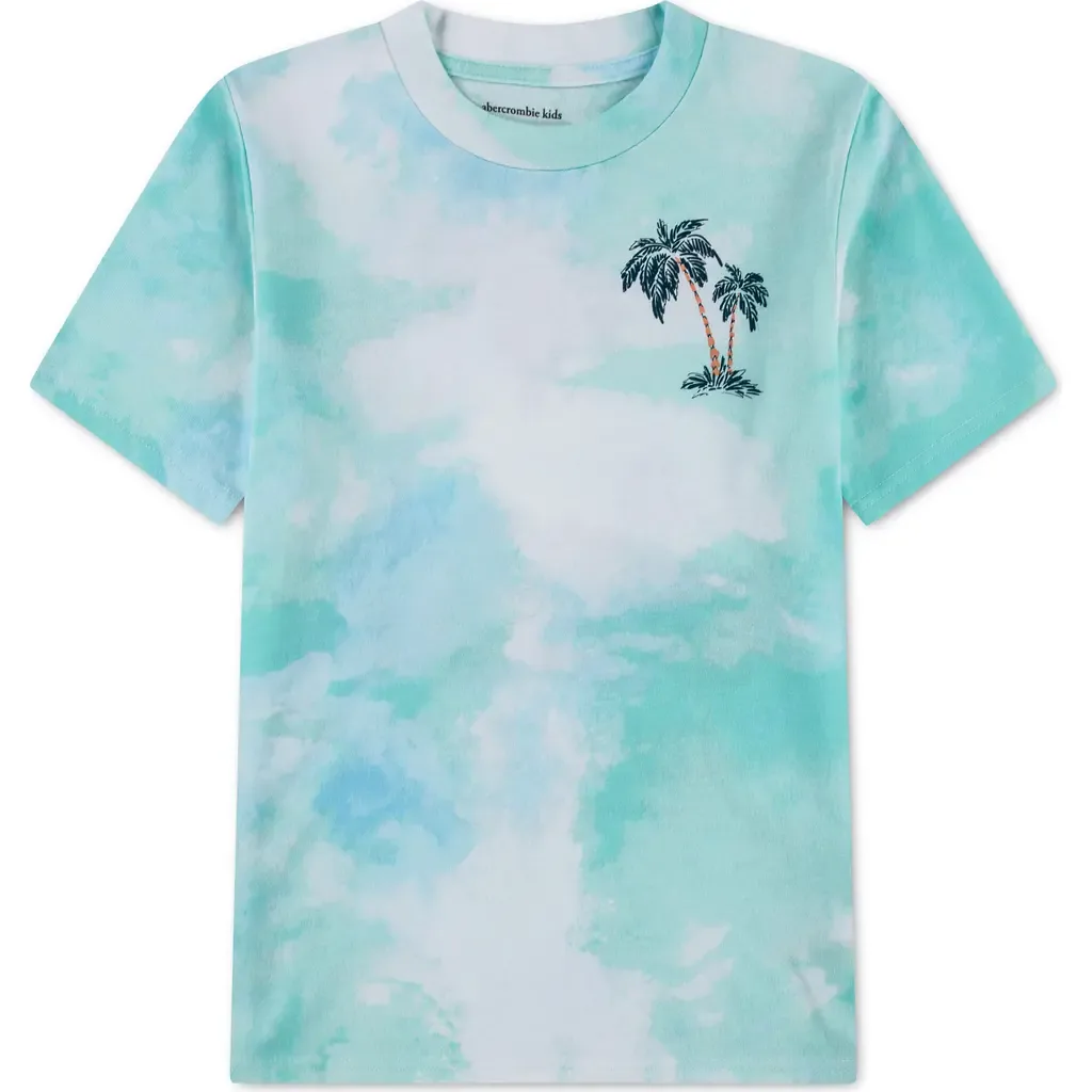 Palm Springs Graphic T-Shirt by abercrombie kids