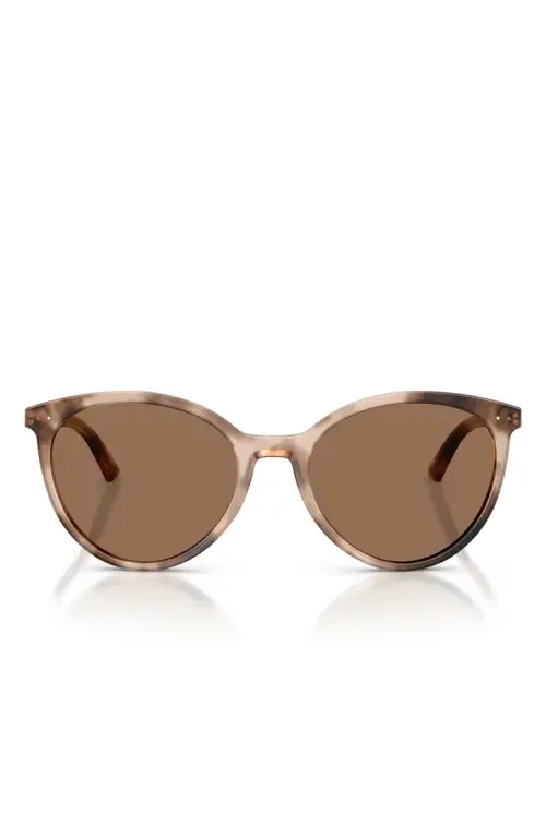 JC5060 53mm Phantos Sunglasses by Jimmy Choo